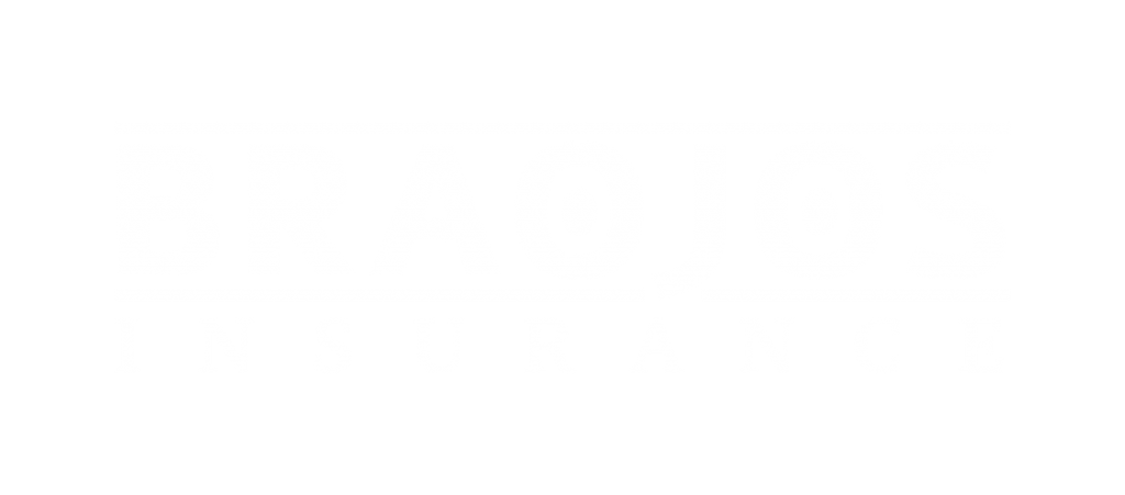 Logo Braojos Blanco